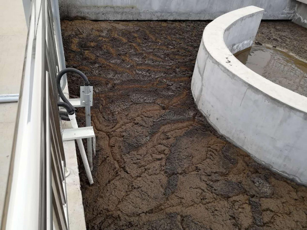 氧化溝工藝現(xiàn)場